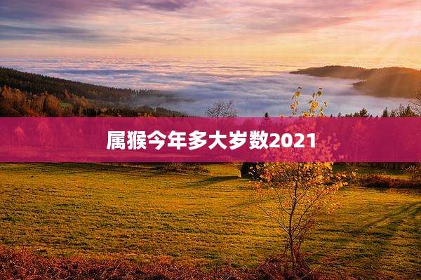 属猴今年多大岁数2021