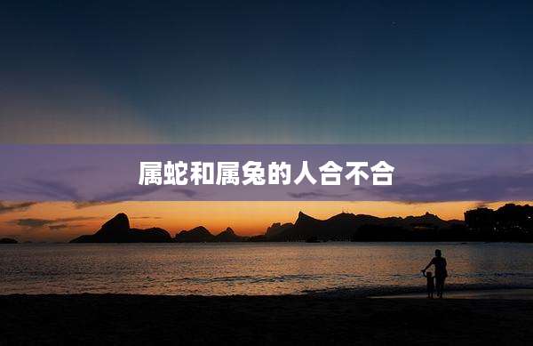 属蛇和属兔的人合不合