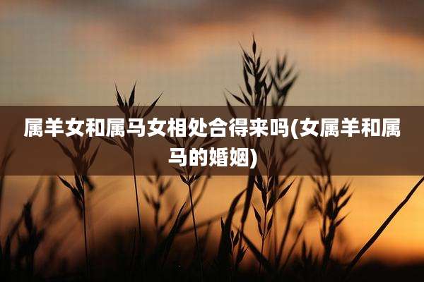 属羊女和属马女相处合得来吗(女属羊和属马的婚姻)