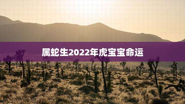 属蛇生2022年虎宝宝命运