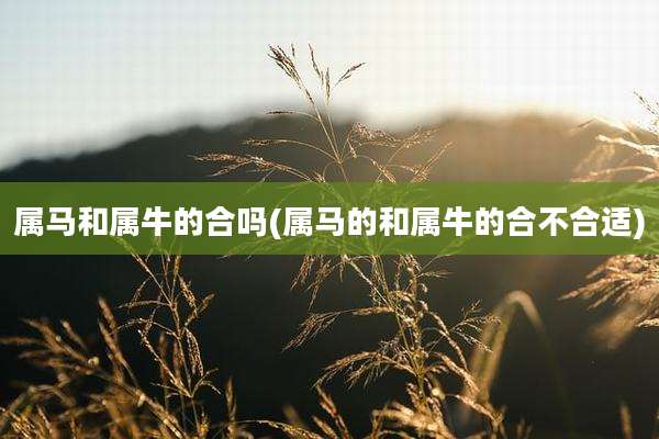 属马和属牛的合吗(属马的和属牛的合不合适)