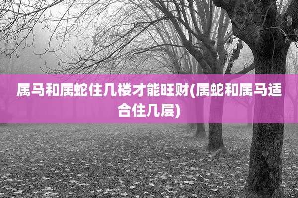 属马和属蛇住几楼才能旺财(属蛇和属马适合住几层)