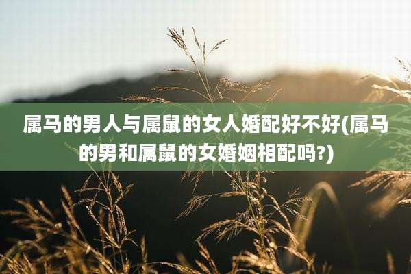 属马的男人与属鼠的女人婚配好不好(属马的男和属鼠的女婚姻相配吗?)