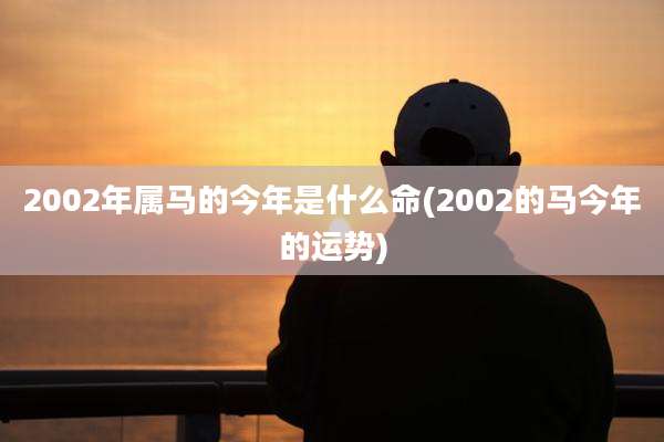 2002年属马的今年是什么命(2002的马今年的运势)