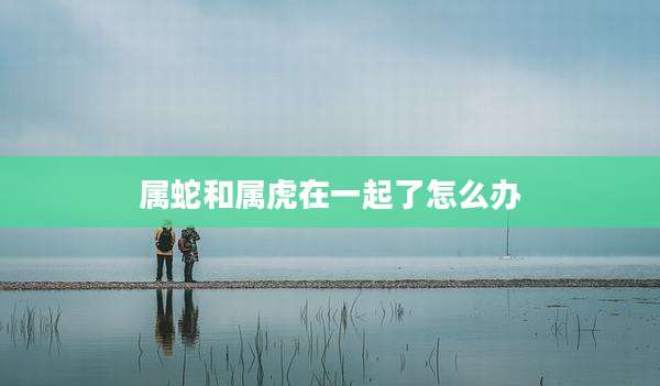 属蛇和属虎在一起了怎么办