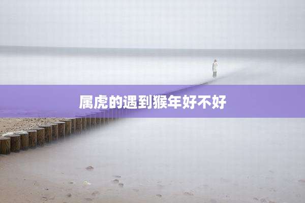 属虎的遇到猴年好不好