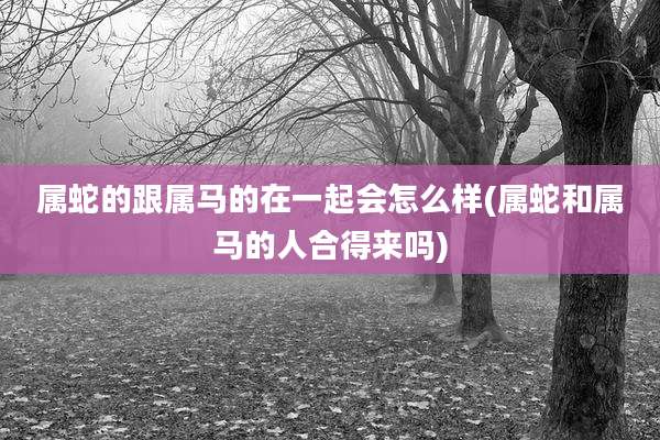 属蛇的跟属马的在一起会怎么样(属蛇和属马的人合得来吗)