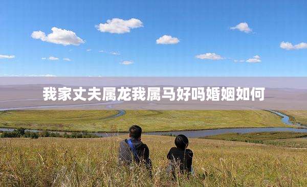 我家丈夫属龙我属马好吗婚姻如何
