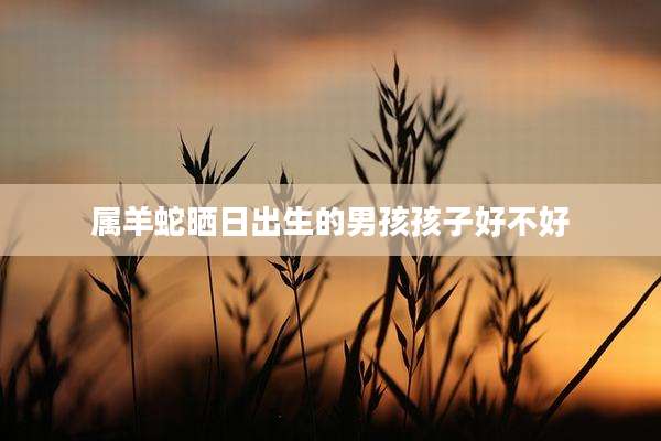 属羊蛇晒日出生的男孩孩子好不好