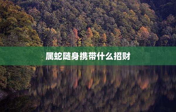 属蛇随身携带什么招财