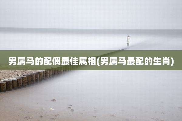 男属马的配偶最佳属相(男属马最配的生肖)