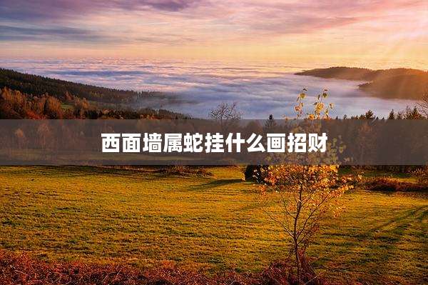 西面墙属蛇挂什么画招财