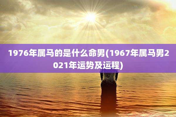 1976年属马的是什么命男(1967年属马男2021年运势及运程)
