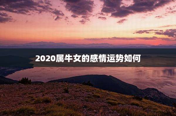 2020属牛女的感情运势如何