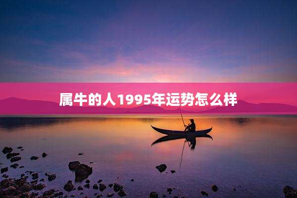 属牛的人1995年运势怎么样