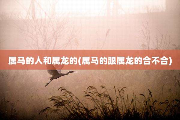 属马的人和属龙的(属马的跟属龙的合不合)