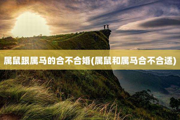 属鼠跟属马的合不合婚(属鼠和属马合不合适)