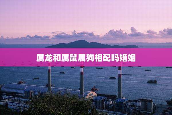 属龙和属鼠属狗相配吗婚姻