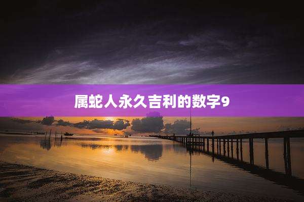 属蛇人永久吉利的数字9