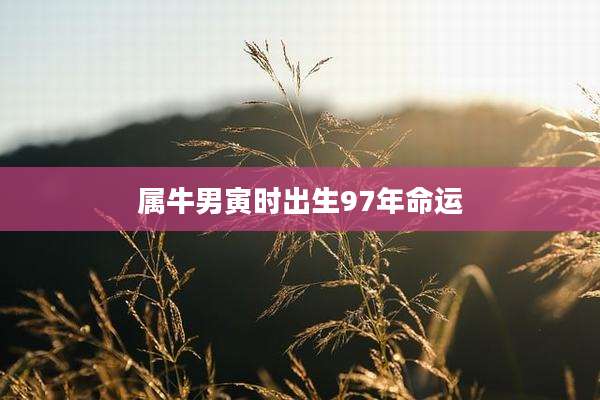 属牛男寅时出生97年命运