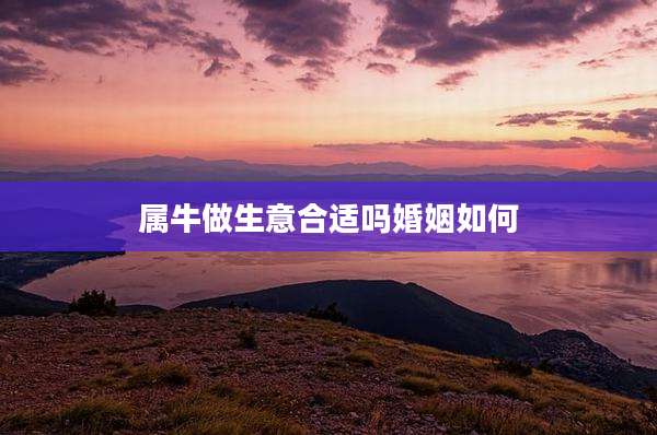 属牛做生意合适吗婚姻如何