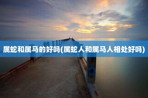 属蛇和属马的好吗(属蛇人和属马人相处好吗)