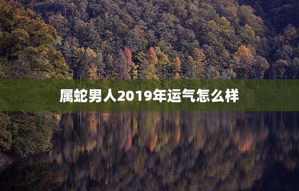 属蛇男人2019年运气怎么样