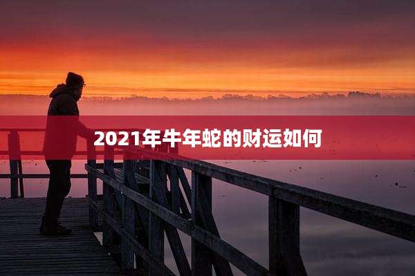 2021年牛年蛇的财运如何