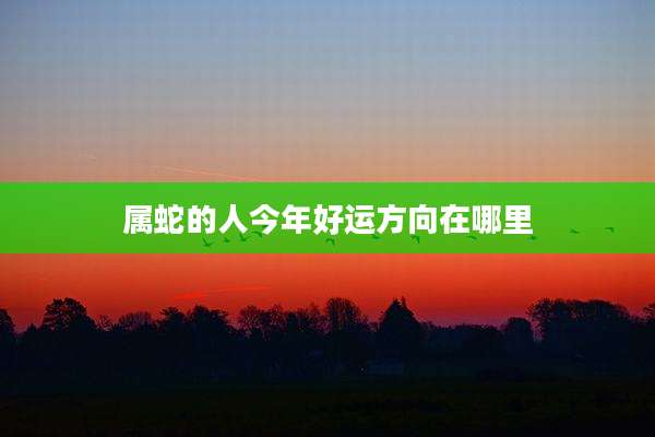 属蛇的人今年好运方向在哪里