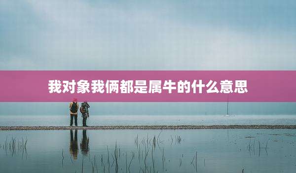 我对象我俩都是属牛的什么意思