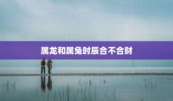 属龙和属兔时辰合不合财