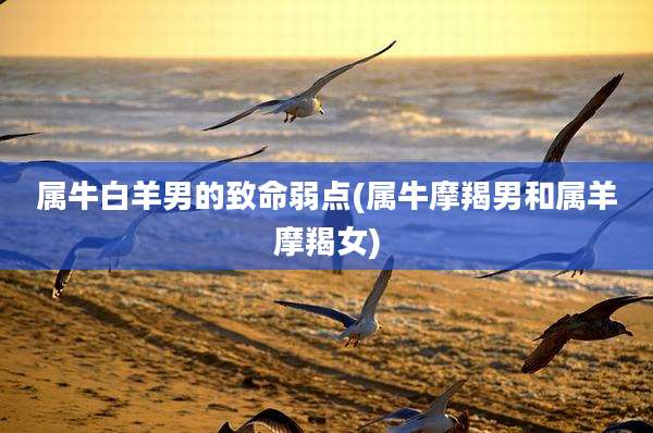 属牛白羊男的致命弱点(属牛摩羯男和属羊摩羯女)