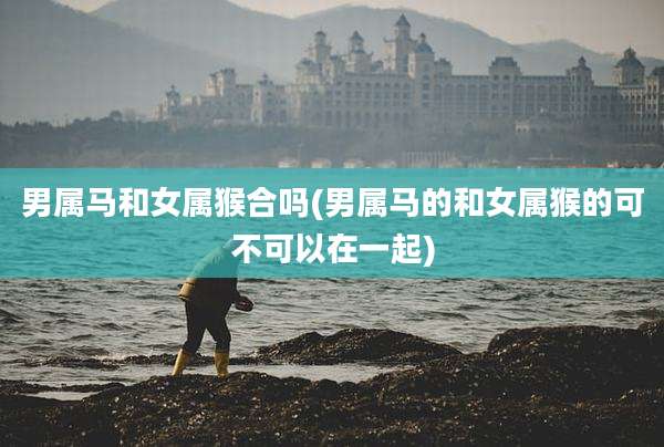男属马和女属猴合吗(男属马的和女属猴的可不可以在一起)