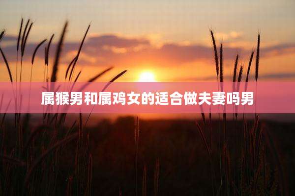 属猴男和属鸡女的适合做夫妻吗男