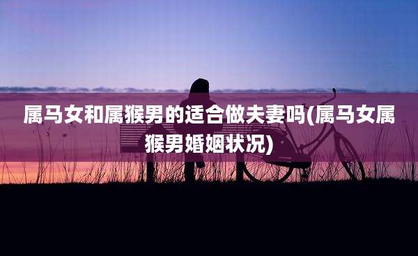 属马女和属猴男的适合做夫妻吗(属马女属猴男婚姻状况)