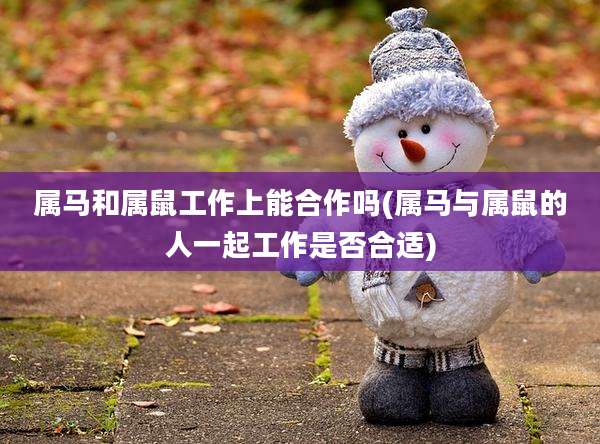 属马和属鼠工作上能合作吗(属马与属鼠的人一起工作是否合适)
