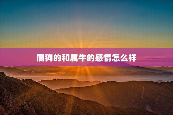 属狗的和属牛的感情怎么样