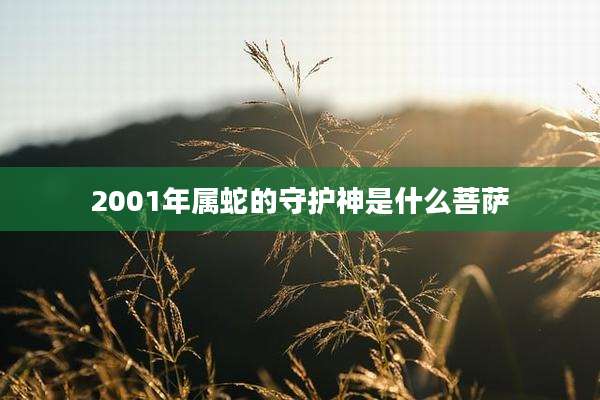 2001年属蛇的守护神是什么菩萨