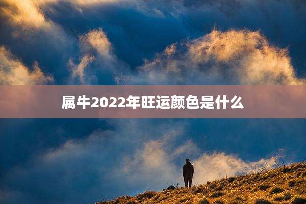 属牛2022年旺运颜色是什么