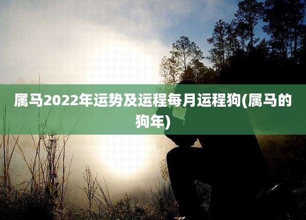 属马2022年运势及运程每月运程狗(属马的狗年)