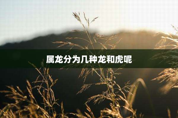 属龙分为几种龙和虎呢