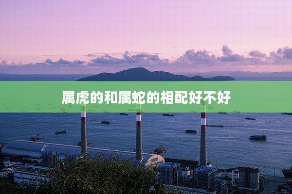 属虎的和属蛇的相配好不好