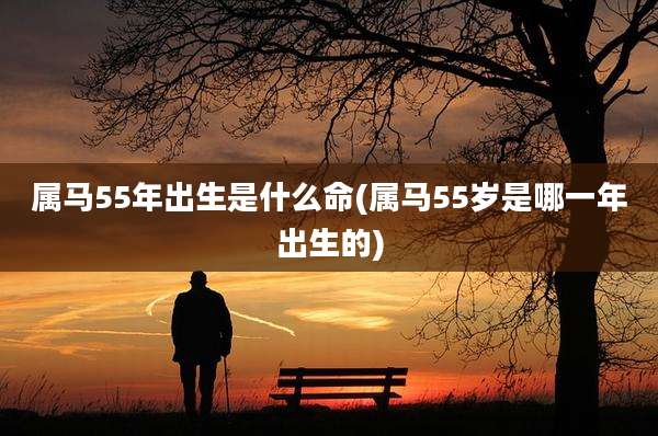 属马55年出生是什么命(属马55岁是哪一年出生的)