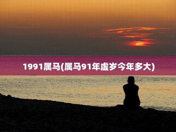 1991属马(属马91年虚岁今年多大)