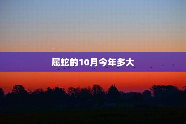 属蛇的10月今年多大