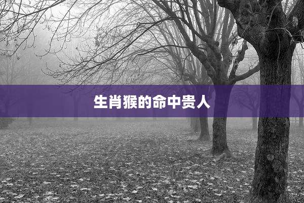 生肖猴的命中贵人