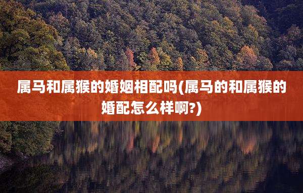 属马和属猴的婚姻相配吗(属马的和属猴的婚配怎么样啊?)