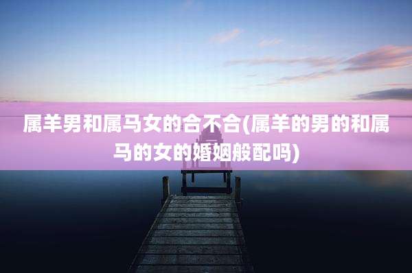 属羊男和属马女的合不合(属羊的男的和属马的女的婚姻般配吗)