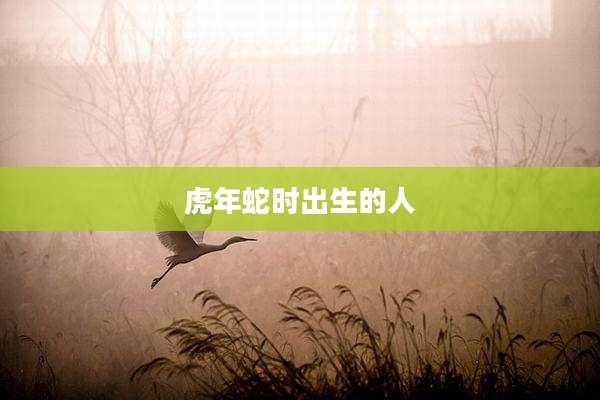 虎年蛇时出生的人