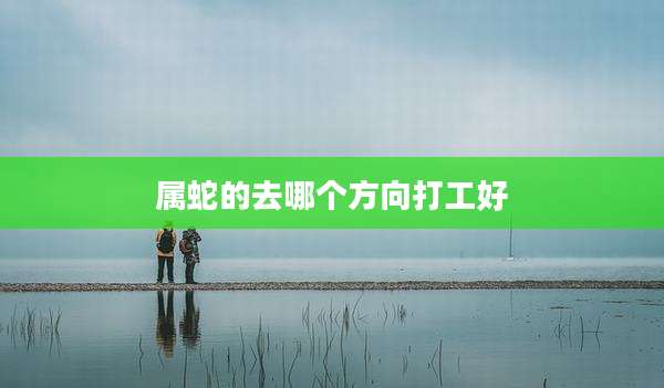 属蛇的去哪个方向打工好